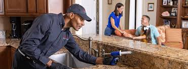 Best Residential Pest Control  in Mount Oliver, PA