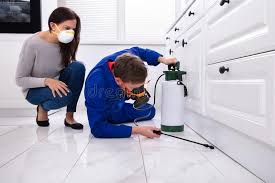 Best Pest Prevention Services  in Mount Oliver, PA